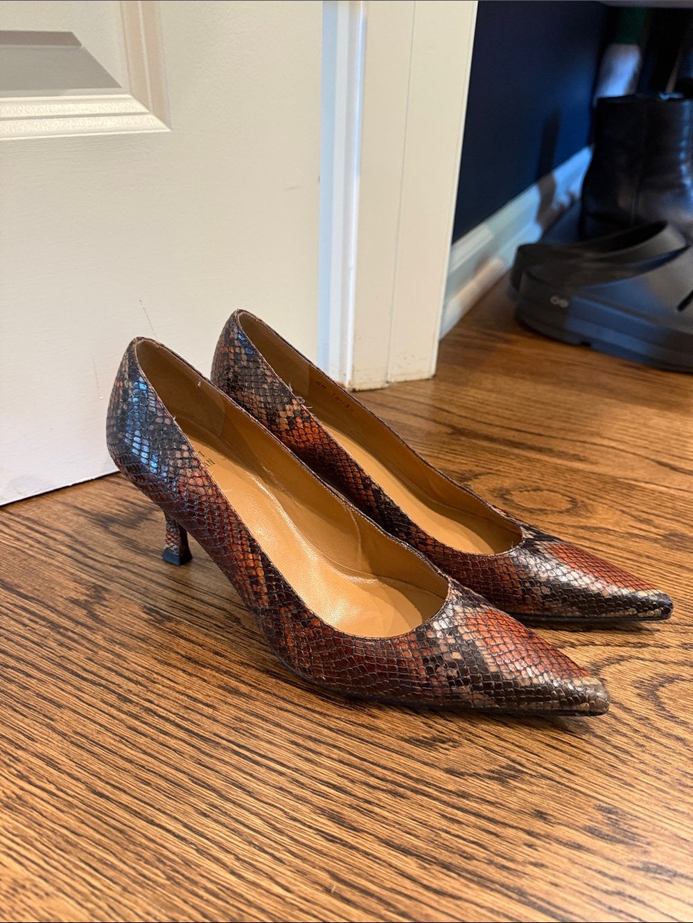 Stuart Weitzman Brown and Black Snake-Print Pointed Toe Pumps